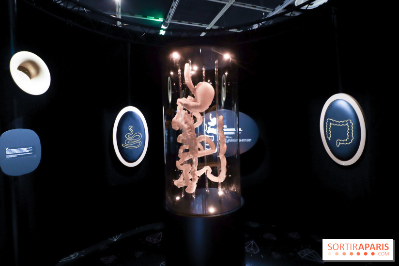 Microbiote, l'exposition à la Cité des Sciences