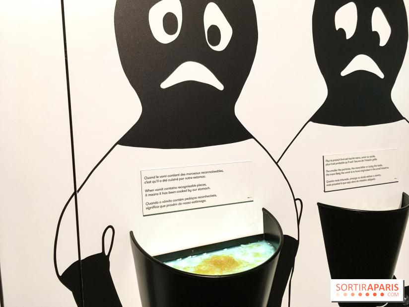 Microbiote, l'exposition à la Cité des Sciences