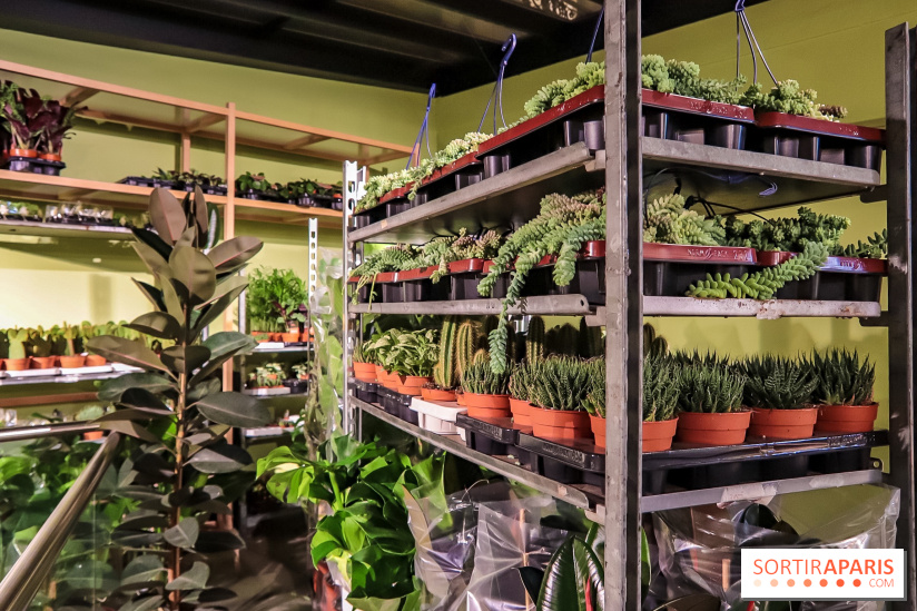 Bergamotte, le lieu de vie dédié au végétal