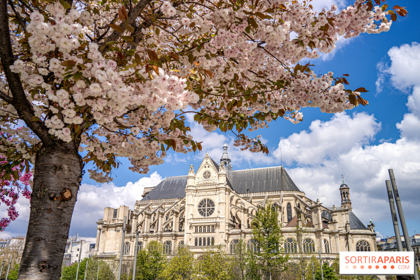 Visuel Paris Jardin Nelson Mandela Eglise Saint Eustache