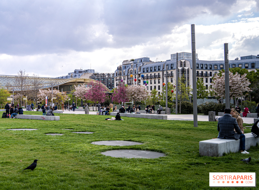 Visuel Paris Jardin Nelson Mandela cerisiers en fleurs