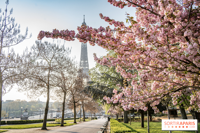 Visuel Paris Tour Eiffel cerisiers en fleurs