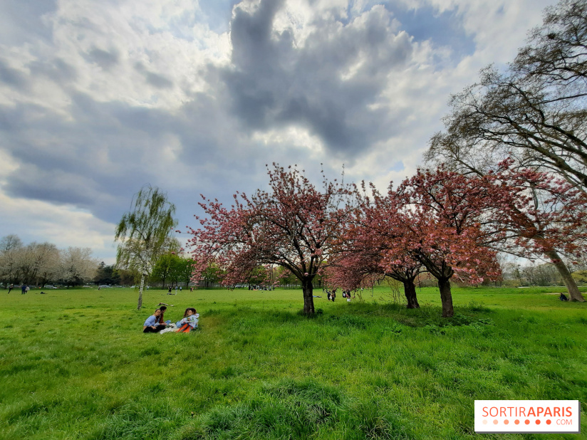 Visuel Paris - Bois de Boulogne - Parc de Bagatelle