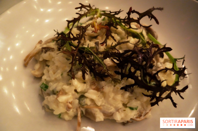 Tous : restaurant bistronomique à Paris, les photos