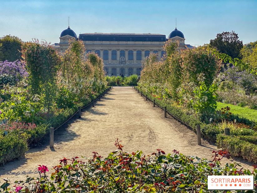 Le Jardin des Plantes