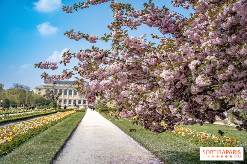 Le Jardin des Plantes