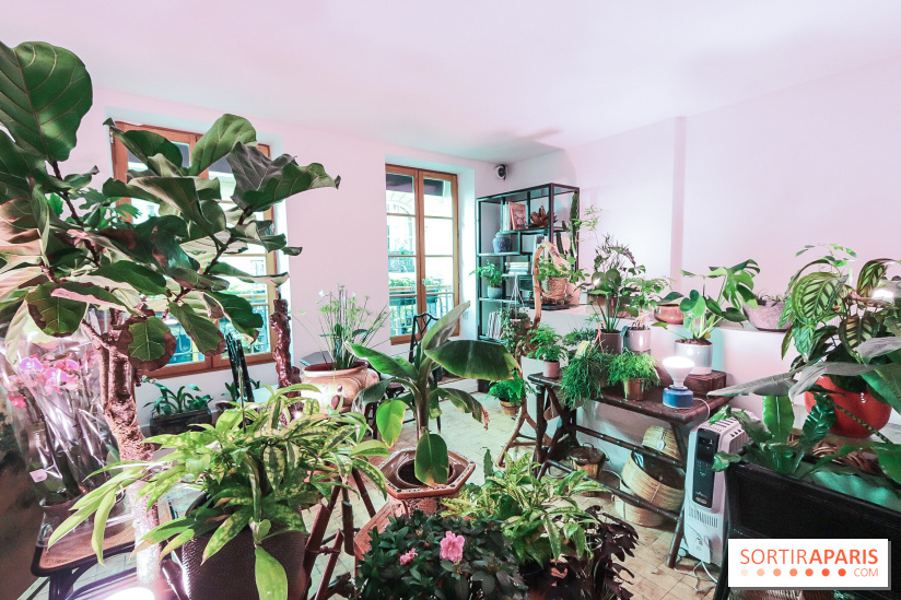 Boya Paris, fleuriste et artisanat