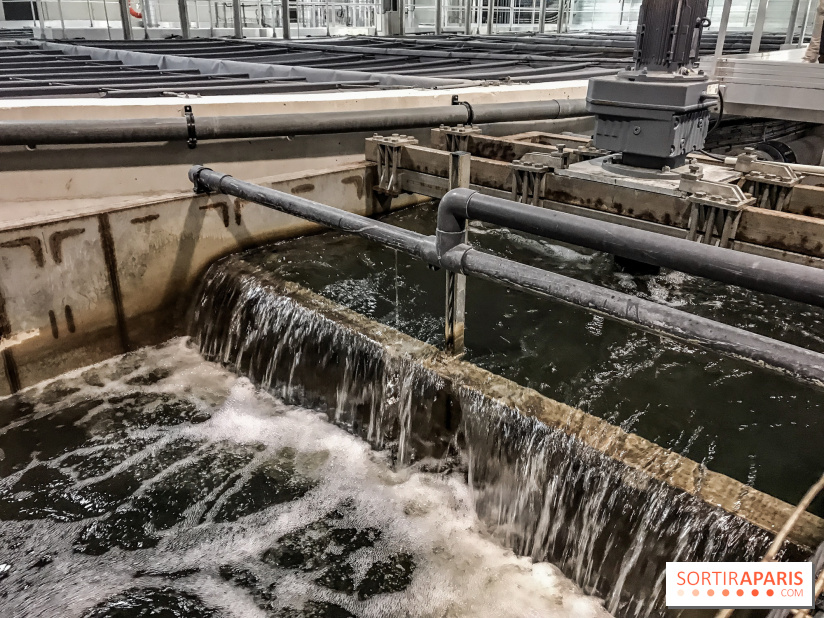 Earth Month à Disneyland Paris