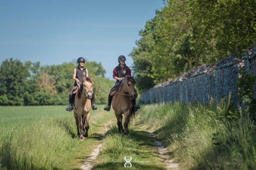 Cet été, explorez le Pays de Fontainebleau en famille ou entre amis !