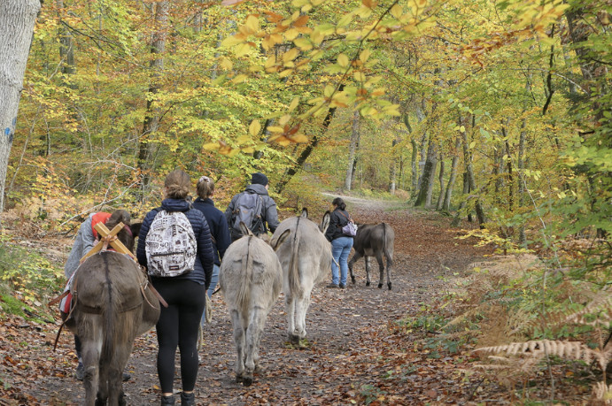 Activités sportives, visites culturelles et aventures partagées : des vacances pleines de souvenirs au Pays de Fontainebleau !