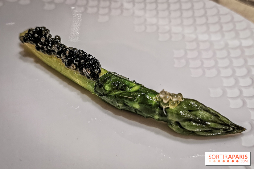 Atelier dégustation de Saké avec Xavier Thuizat au Crillon