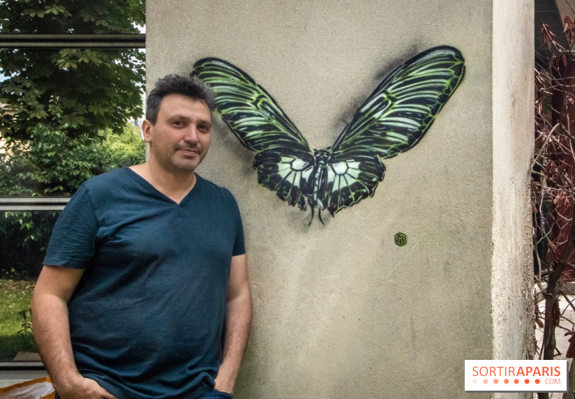 Les Papillons de C215