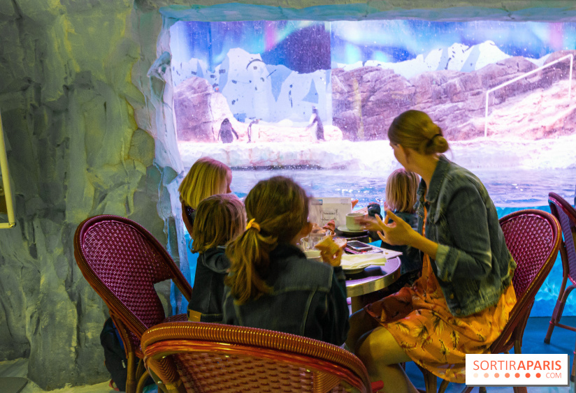 Les petits déjeuners avec les manchots de l'aquarium Sea Life