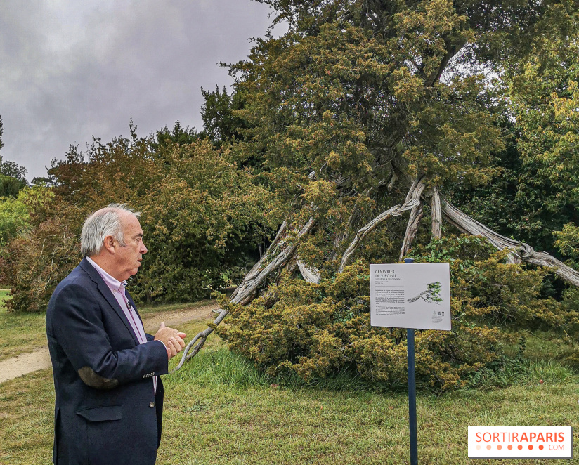 Le parcours des Arbres Admirables dans le domaine du château de Versailles