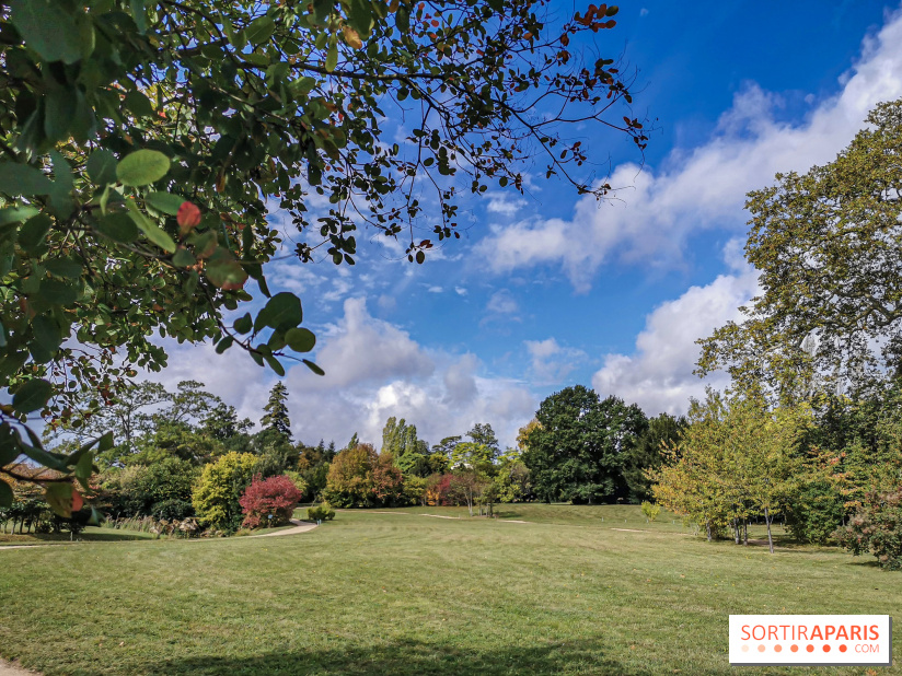 Le parcours des Arbres Admirables dans le domaine du château de Versailles