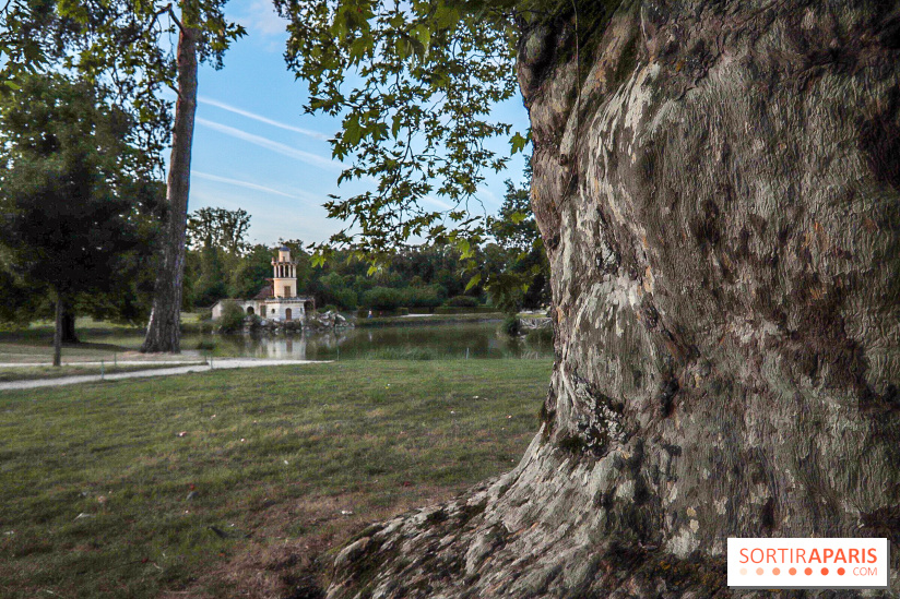 Le parcours des Arbres Admirables dans le domaine du château de Versailles