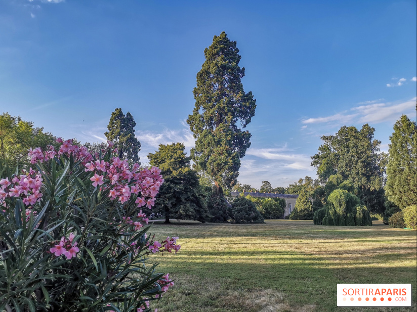 Le parcours des Arbres Admirables dans le domaine du château de Versailles