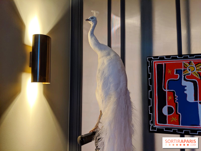 Vincent Darré x Cointreau