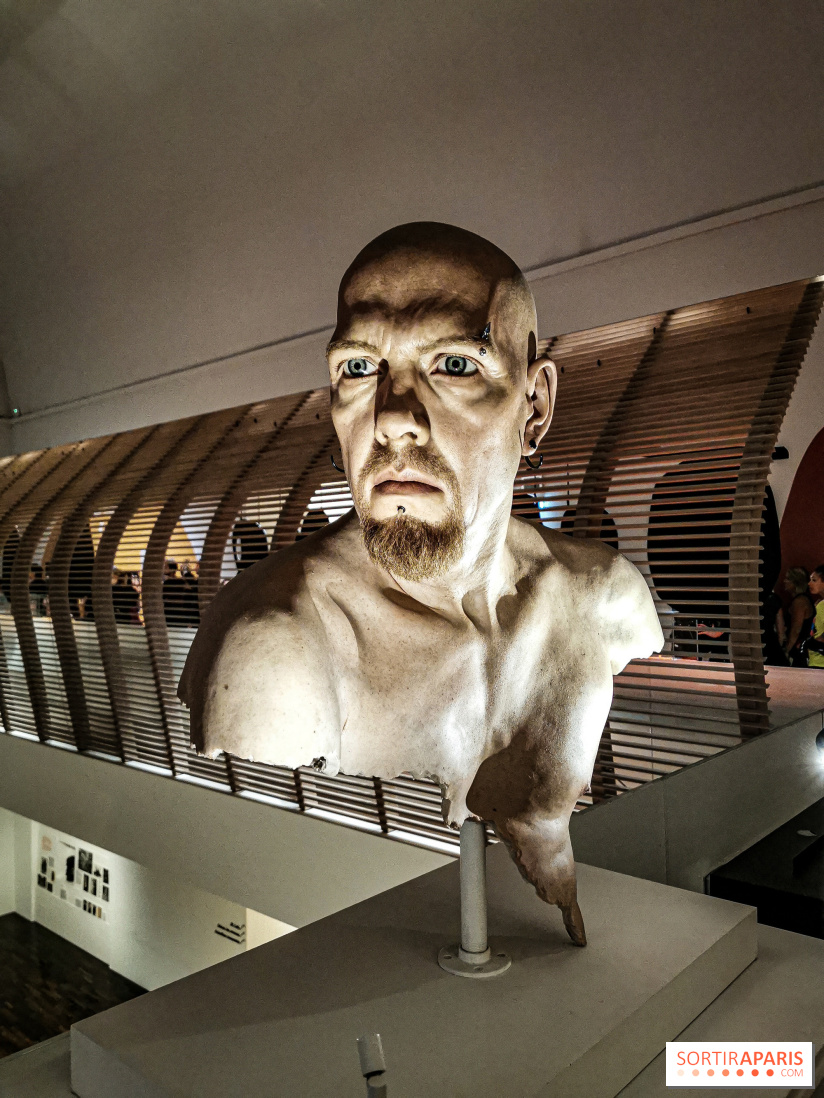 La course nocturne de la Nuit Blanche, les photos