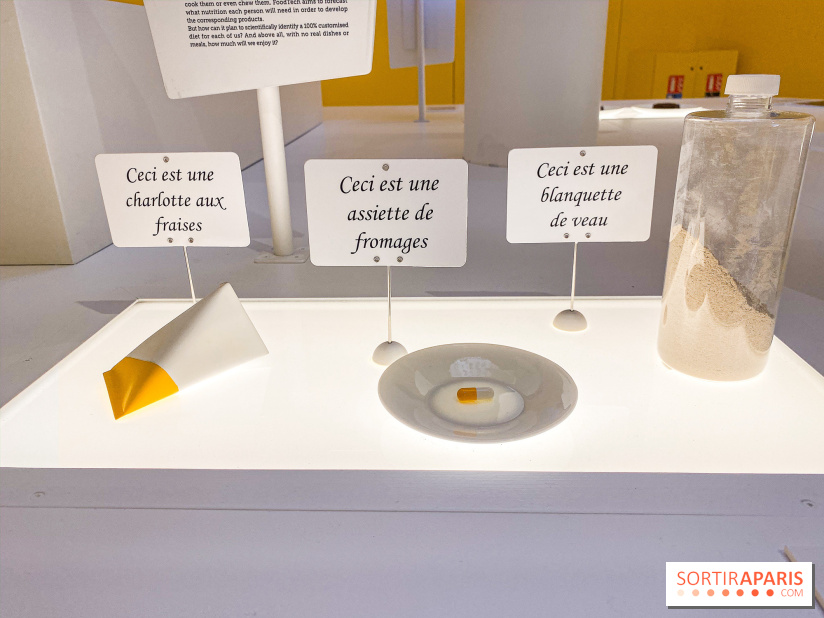 Je mange donc je suis au Musée de l'Homme