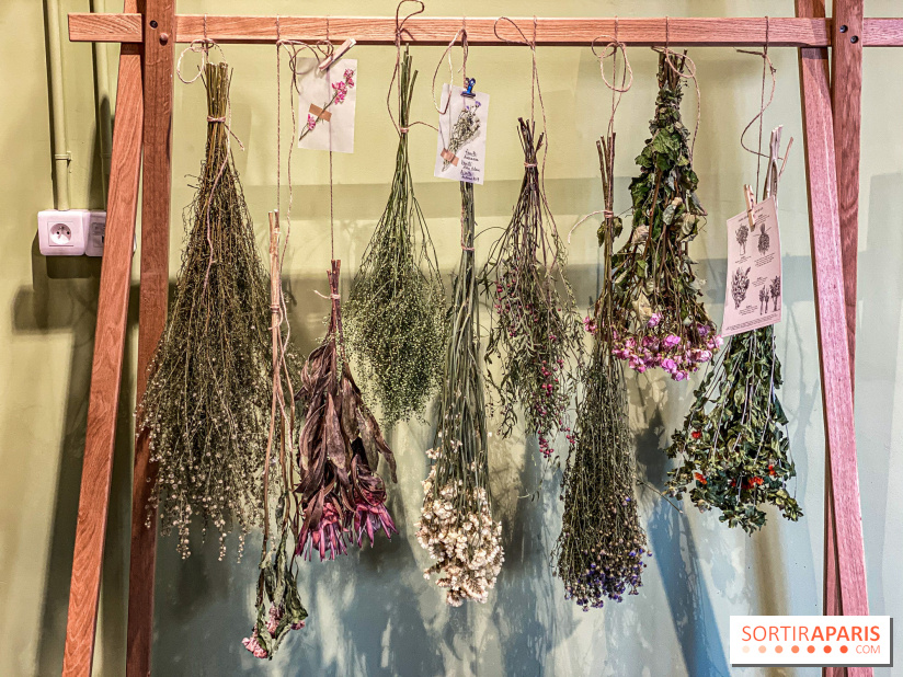 Bergamotte Kinfolk, la nouvelle collection de fleurs séchées naturellement