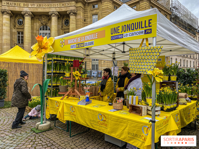 Une Jonquille pour Curie au Panthéon