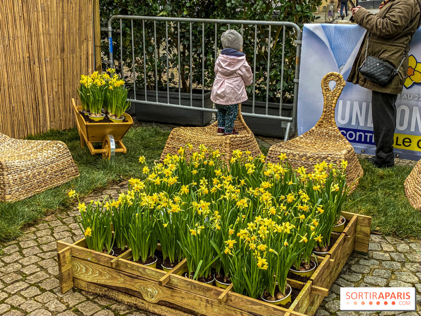 Une Jonquille pour Curie au Panthéon