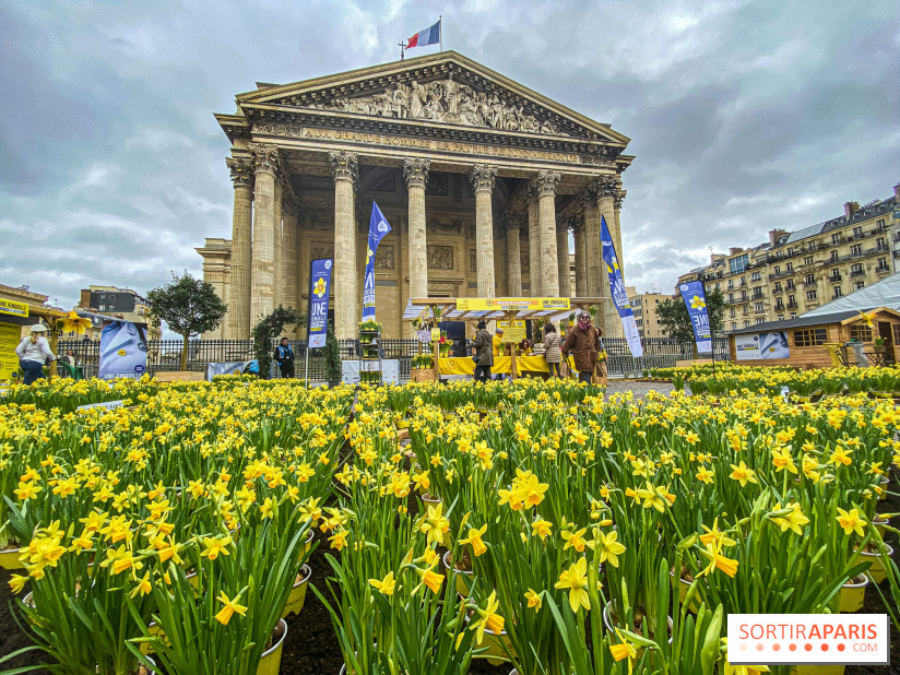 Une Jonquille pour Curie au Panthéon