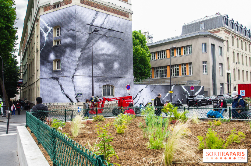 Hommage à Adama Traoré : l'artiste JR dévoile un collage géant à Paris, les photos