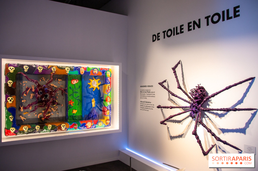 Araignées, Lucioles et Papillons au Musée en Herbe : nos photos