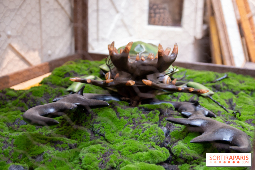 Araignées, Lucioles et Papillons au Musée en Herbe : nos photos