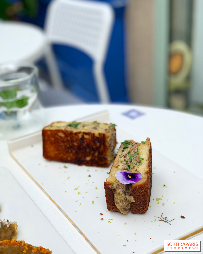 Maison Gazelle - été 2020