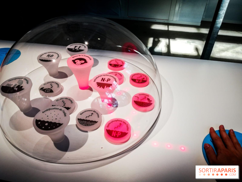 Bio-inspirée, la nouvelle expo permanente à la Cité des Sciences et de l'Industrie