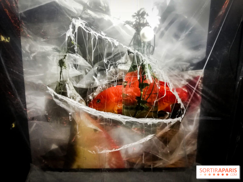 Mythologies du poisson rouge, l'exposition de l'Appart Renoma, nos photos