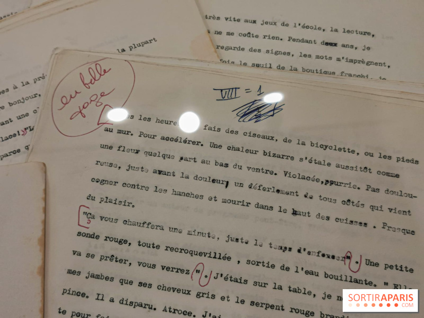 Autrices, écrire libre : l'exposition inspirante de la Galerie Gallimard, nos photos