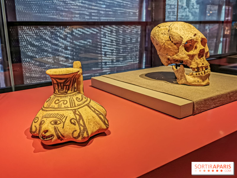 Les Olmèques et les cultures du golfe du Mexique, l'expo au Musée du Quai Branly, nos photos