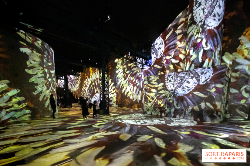 Photos : Exposition immersive Jimmy Nelson : The last sentinels à l’Atelier des Lumières