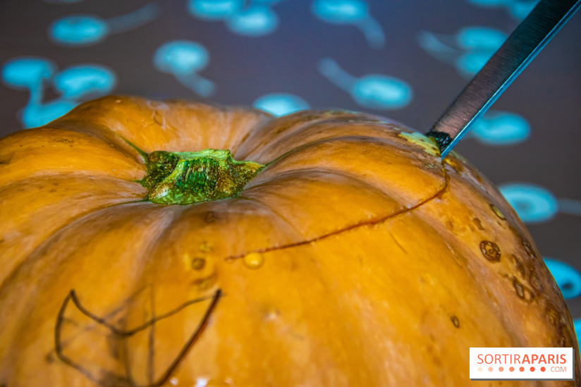 Halloween 2020 : comment creuser sa citrouille ? Le tuto