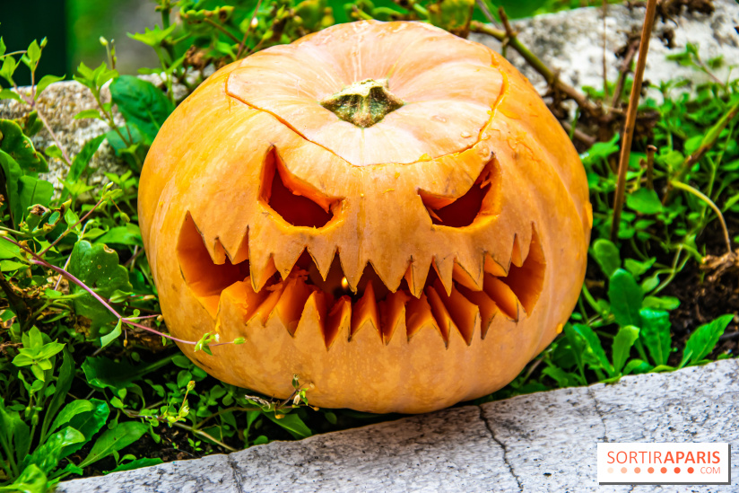 Halloween 2020 : comment creuser sa citrouille ? Le tuto