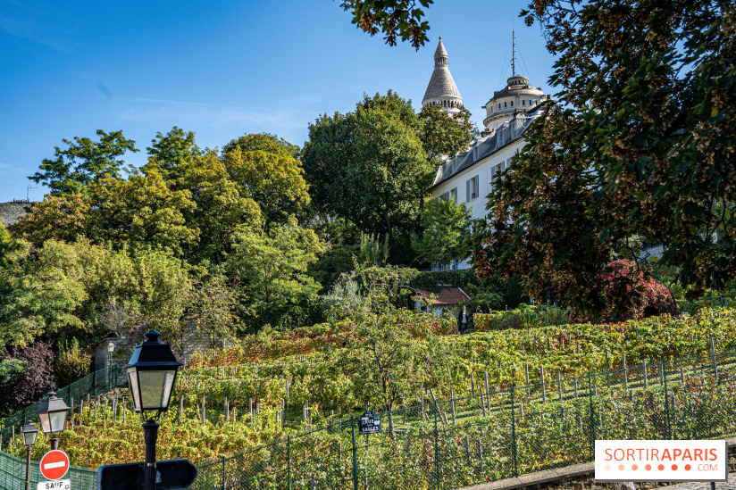 Montmartre Paris - fete des vendanges