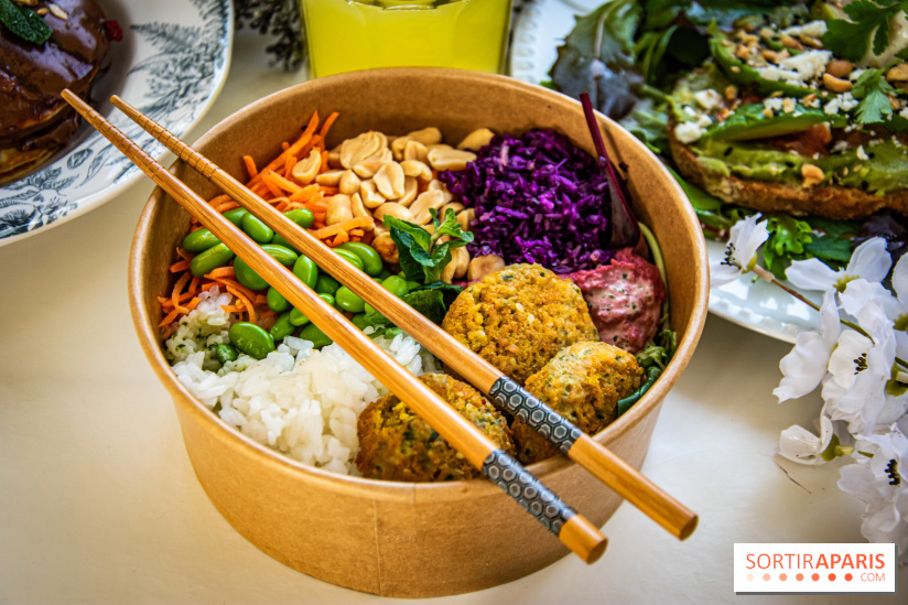 Fuumi nouvelle carte