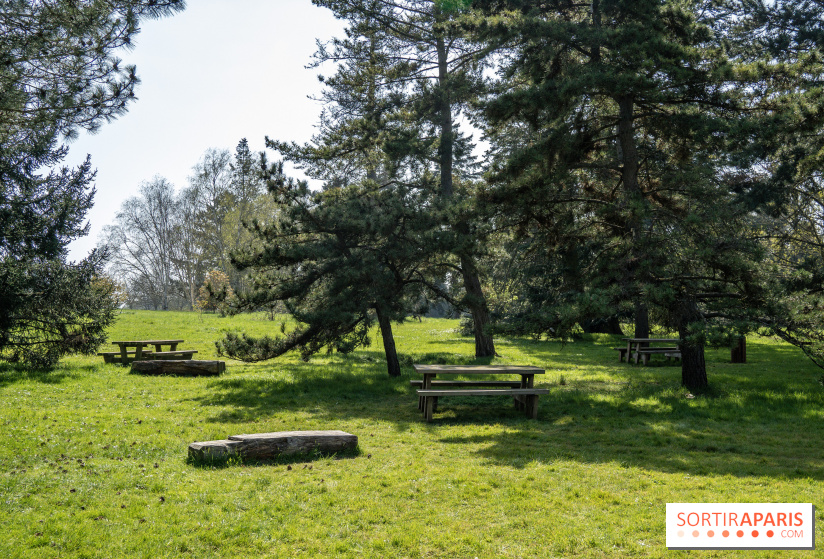 Les cerisiers et arbres en fleurs de l’Arboretum de Chevreloup