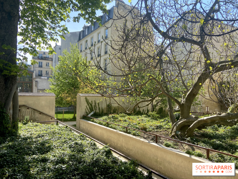 Jardin des Rosiers, a secret location in the Marais - Sortiraparis.com