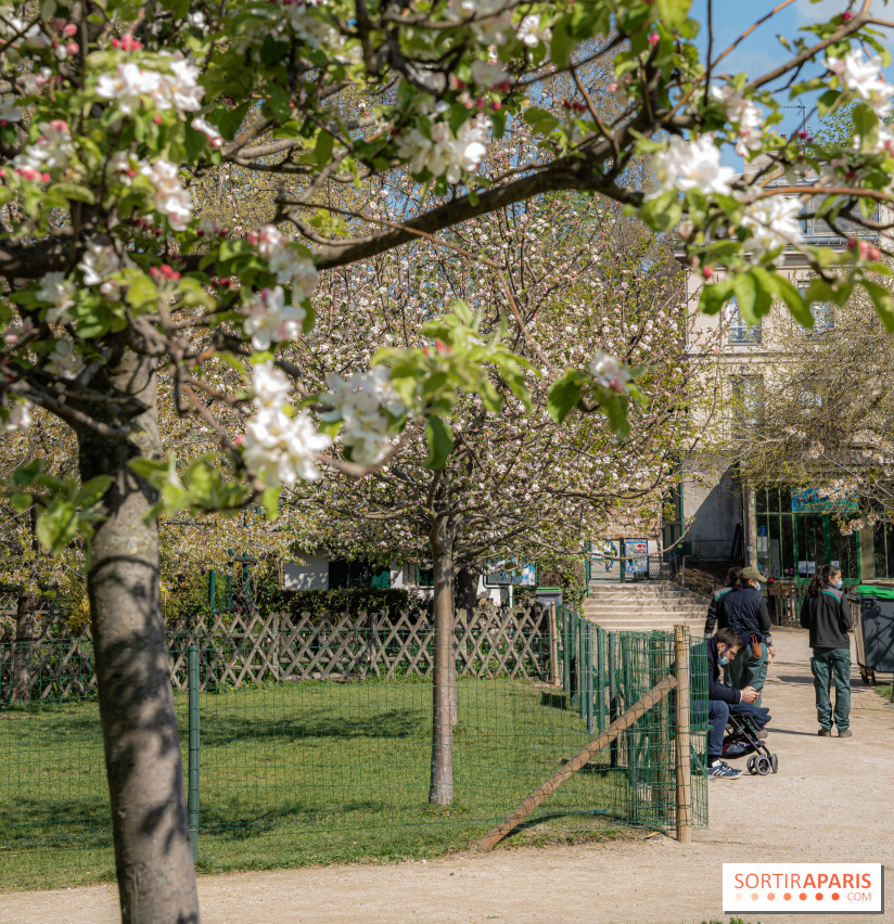 Jardin Catherine Labouré et le Jardin du Potager