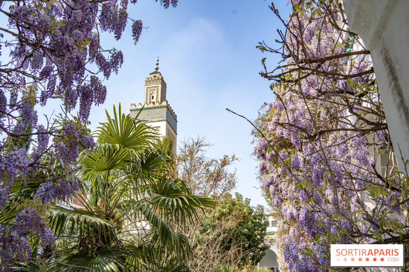 La Mosquée de Paris et son jardin en fleurs