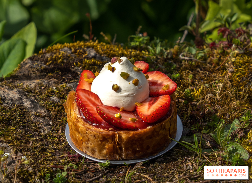 Tartes à la fraise Maison Aleph