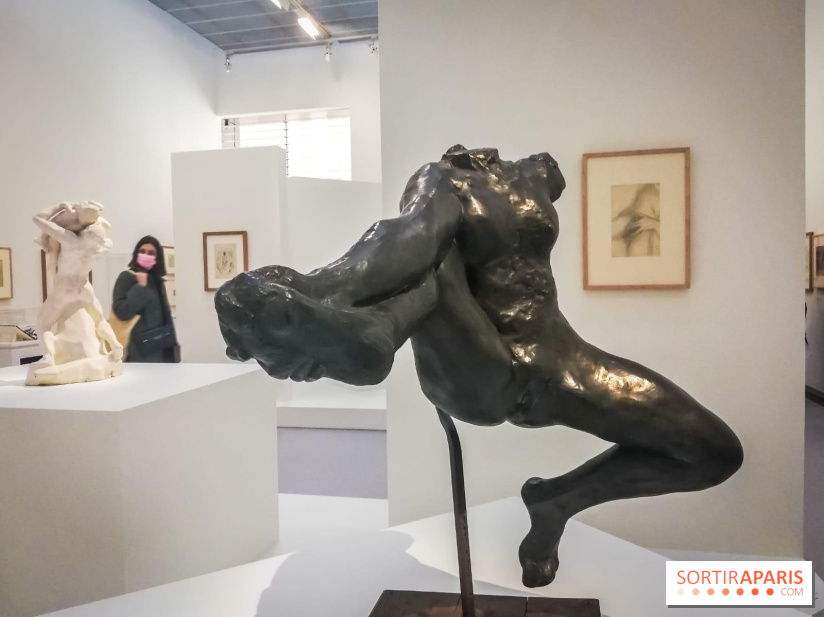 Picasso-Rodin : l'exposition se prolonge au Musée Rodin - nos photos