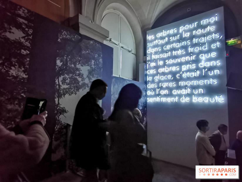 Nous vous aimons, Madame : l'expo hommage à Simone Veil à l'Hôtel de Ville de Paris - nos photos