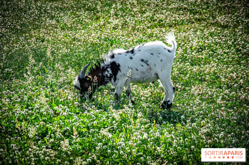 Parrot World, le parc animalier immersif d'Île-de-France