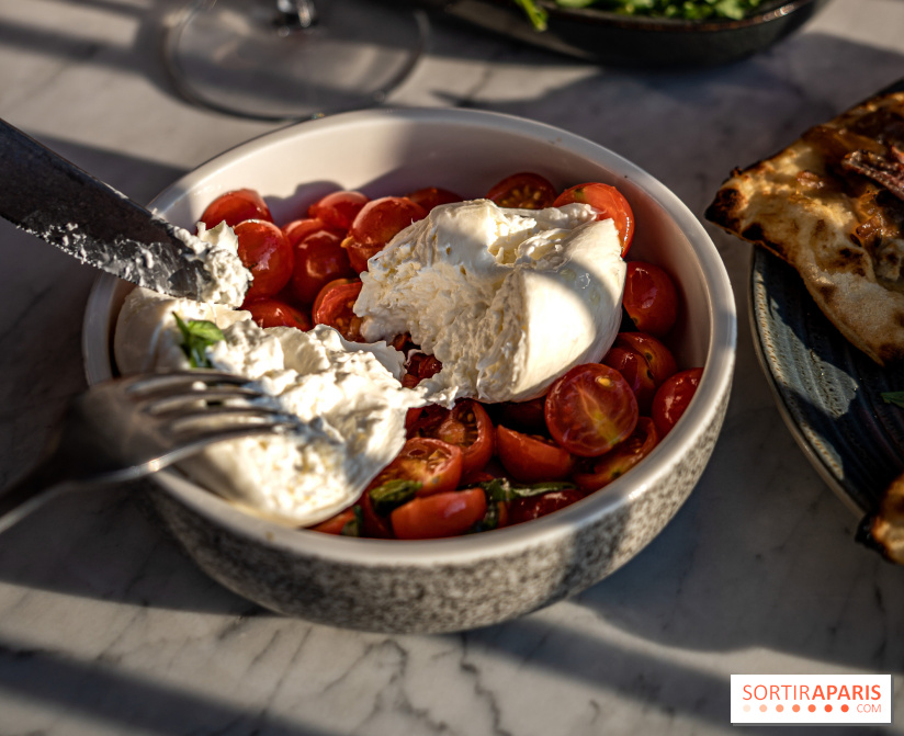 Les Piaules Nation, le rooftop